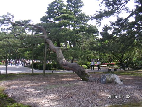 s_pict0121.jpg